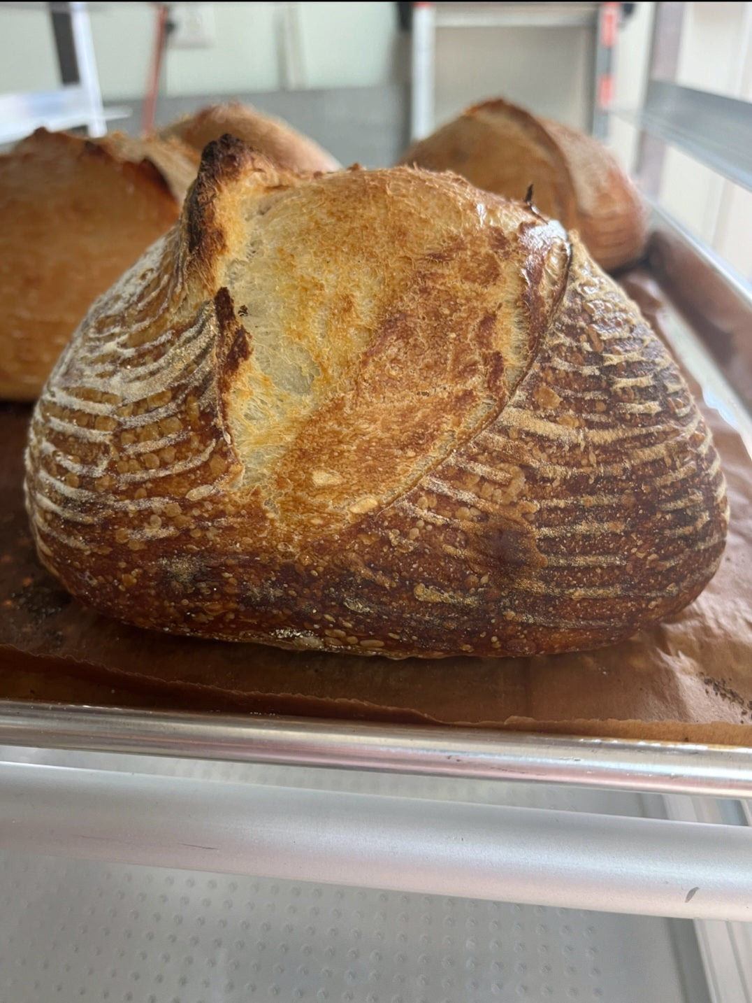 Sourdough Boule