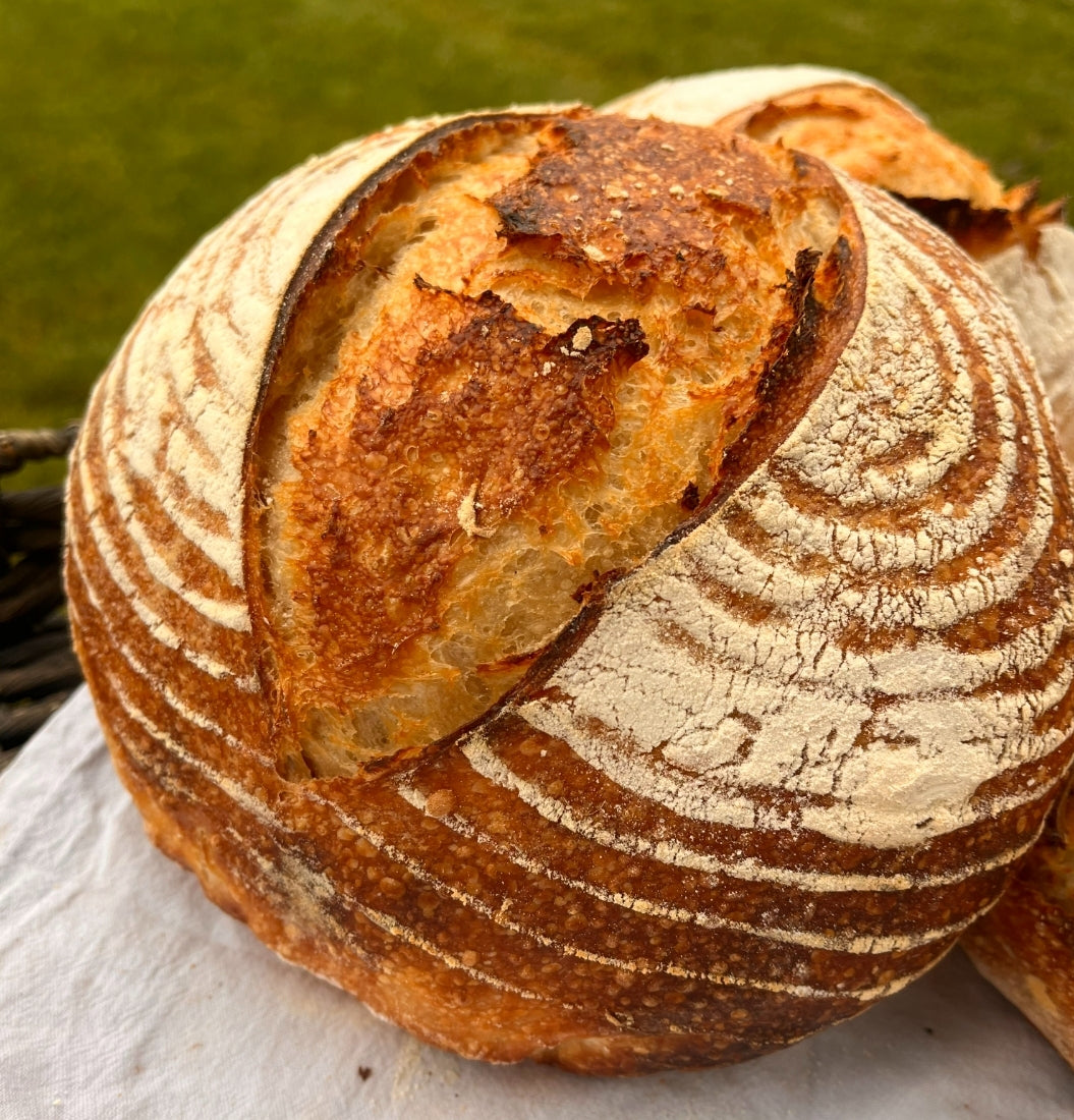 Sourdough Boule