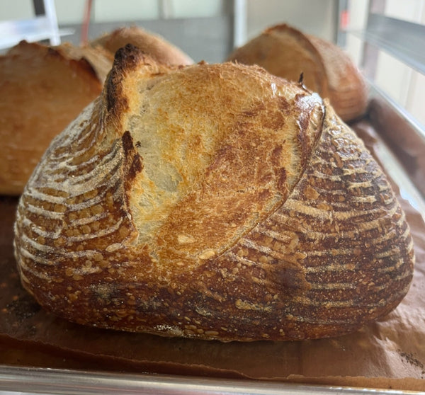 Sourdough Boule