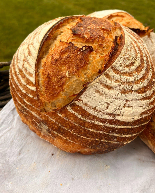 Jalapeño Cheddar Sourdough Boule